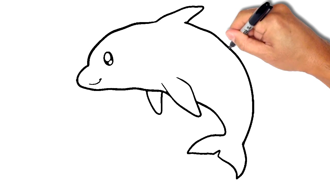 1280x720 Dolphin Drawing Easy How To Draw A Step