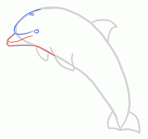 302x284 Drawing Printout How To Draw A Jumping Dolphin