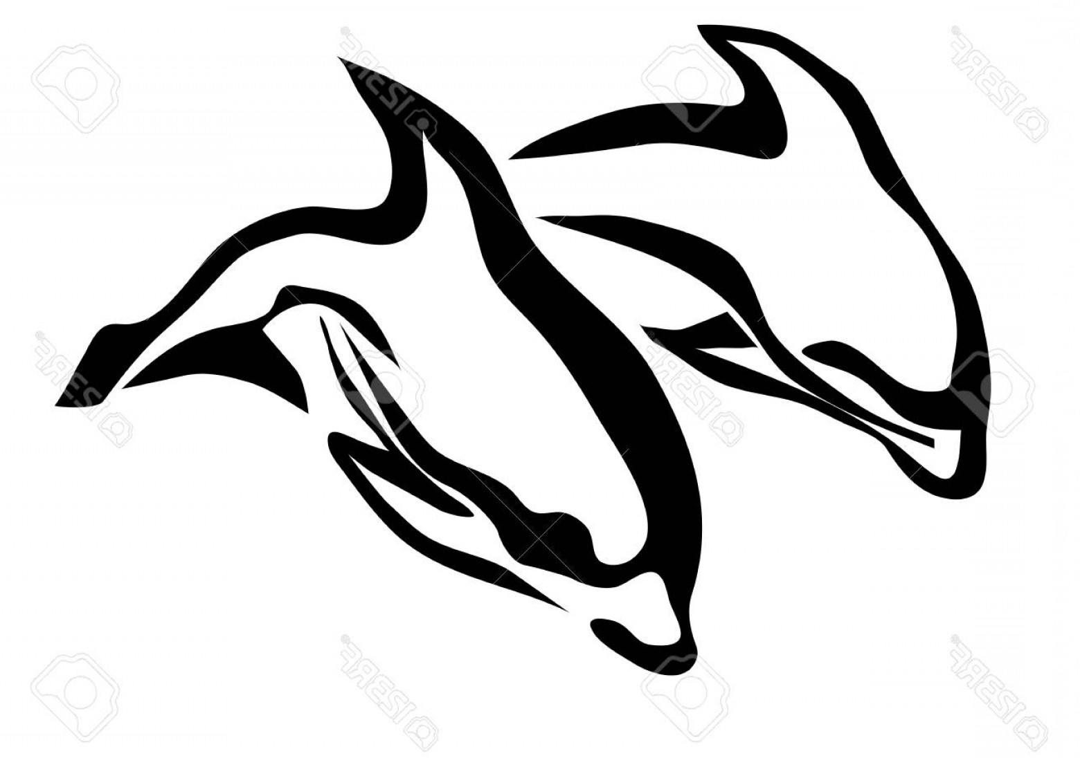 1560x1096 Photostock Vector Jumping Dolphins Silhouette Of Two Dolfins