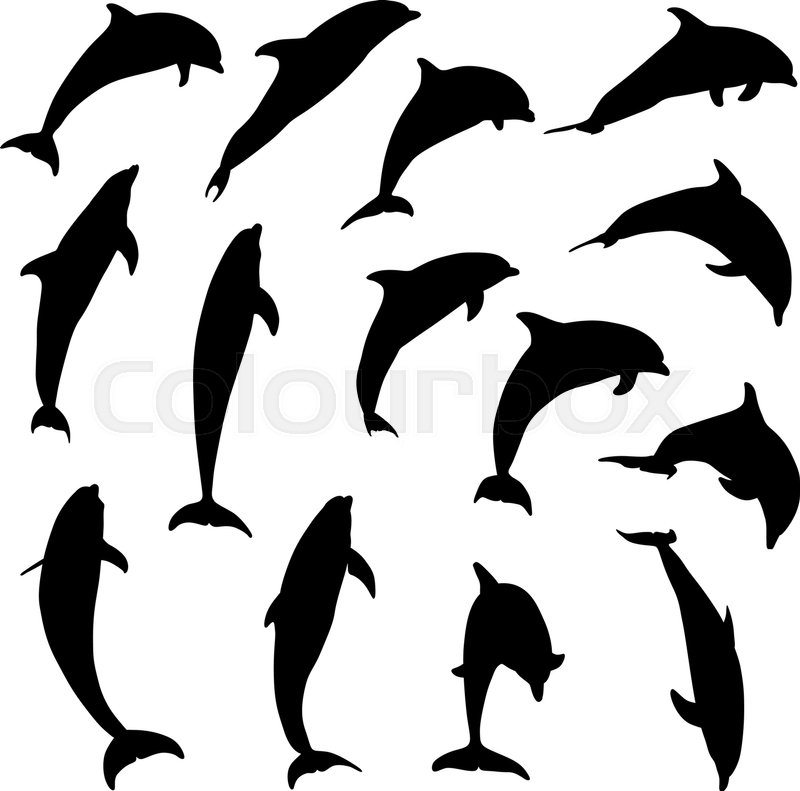 800x791 Set Of Jumping Dolphins Silhouettes Stock Vector Colourbox
