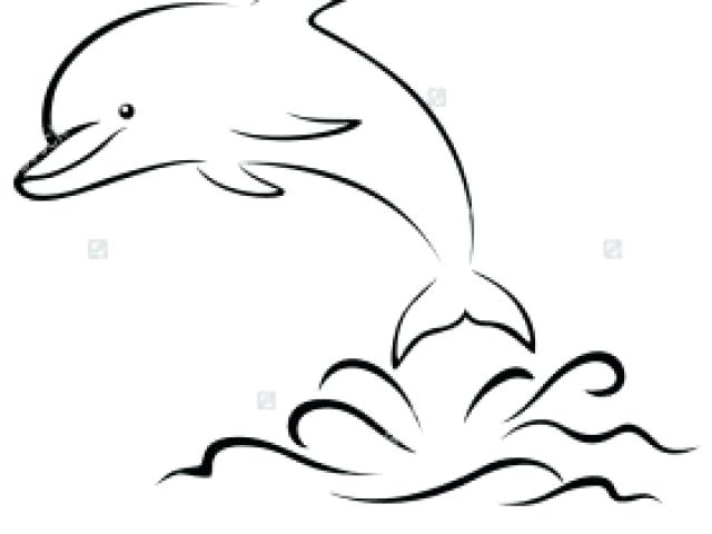 640x480 Easy To Draw Dolphin