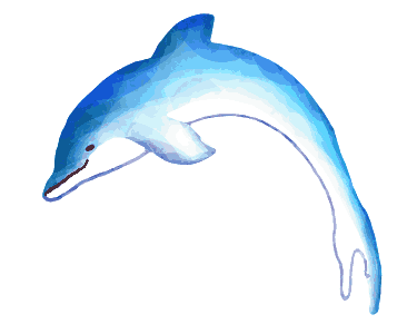 375x300 Collection Of Free Dolphin Drawing Jumping Download On Ui Ex