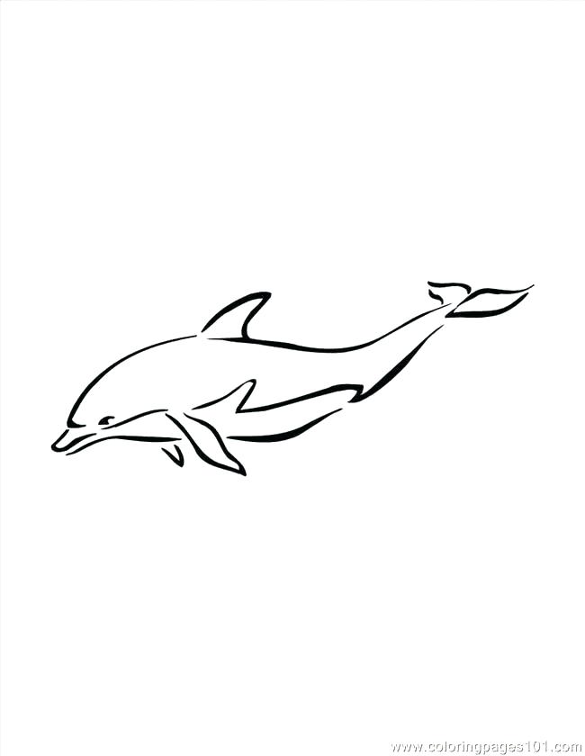 650x840 Coloring Pages Dolphins Dolphin Printable Cute Jumping