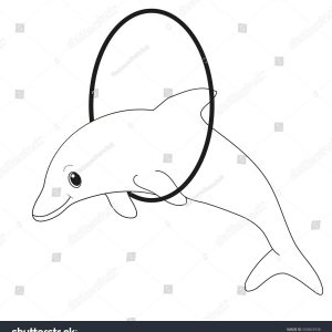 300x300 Dolphin Outline Fresh Line Drawing Dolphin At Getdrawings