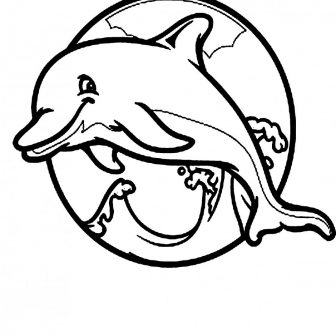 336x336 Drawing A Dolphin Step