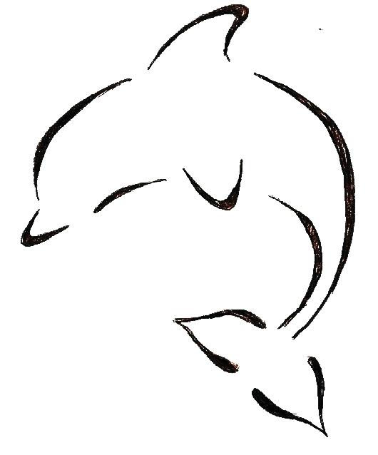 530x638 easy dolphin drawing draw dolphin how to draw easy baby dolphin