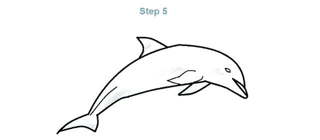 640x280 How To Draw A Dolphin Step