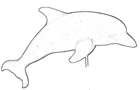 474x307 Outline Of Dolphin At Com Free For Personal Use A Outline Drawing