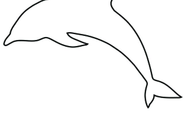 Dolphin Line Drawing | Free download on ClipArtMag