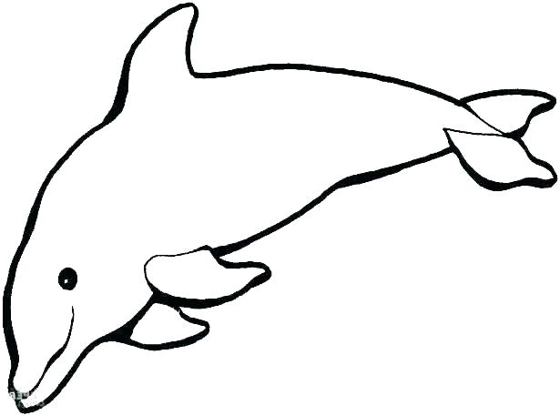 615x457 How To Draw A Easy Dolphin
