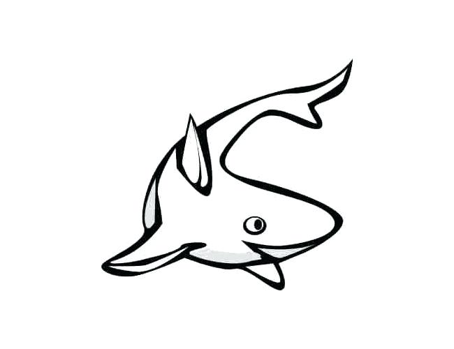 650x500 dolphin outline template definition in hindi