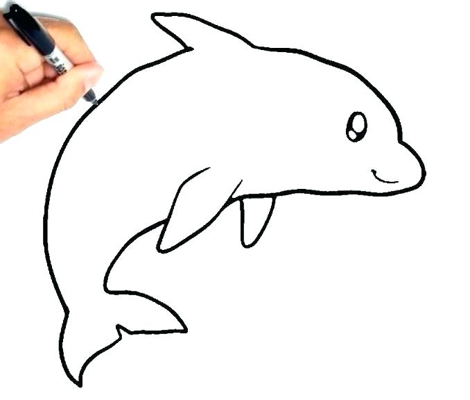 678x576 drawings of a dolphin dolphin drawings dolphin drawings easy
