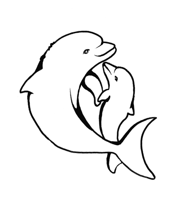 600x716 How To Draw A Baby Dolphin