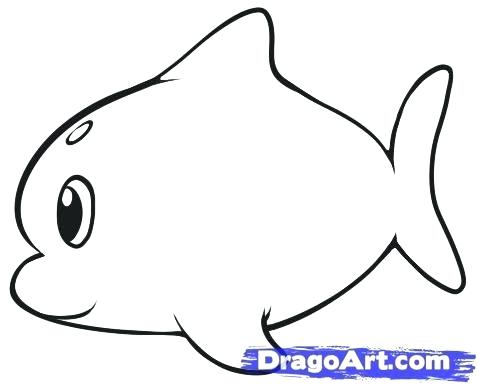 478x385 How To Draw A Simple Dolphin Drawing A Dolphin Step Draw Simple