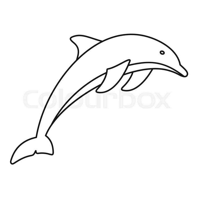 800x800 Dolphin Outline Dolphn Outline Illustration Of Dolphin