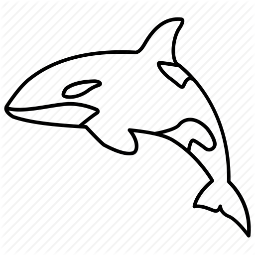 512x512 Collection Of Free Dolphin Drawing Sea Life Download On Ui Ex