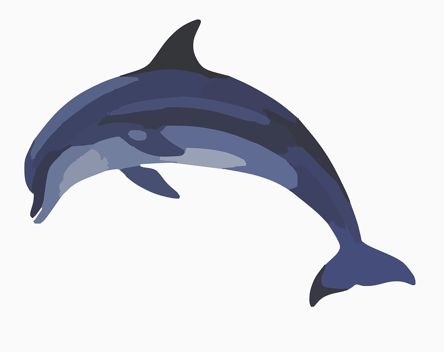 908x720 Dolphin Clipart
