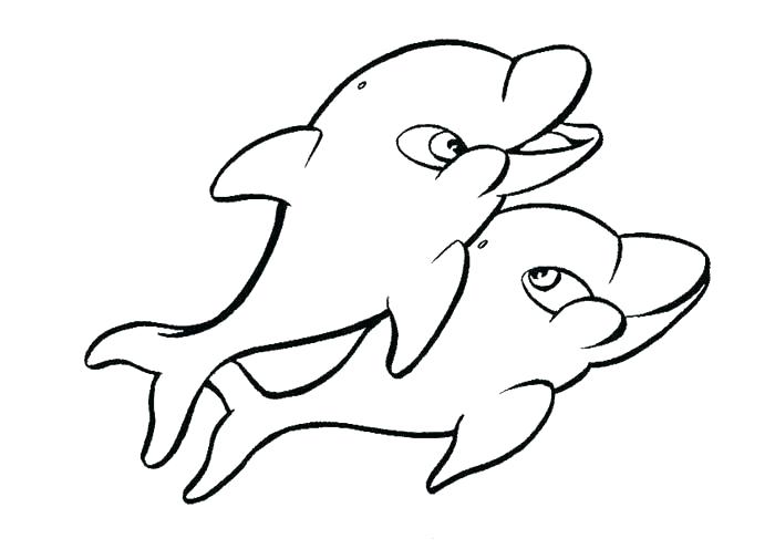 700x496 dolphin images to color picture of a dolphin to color dolphin