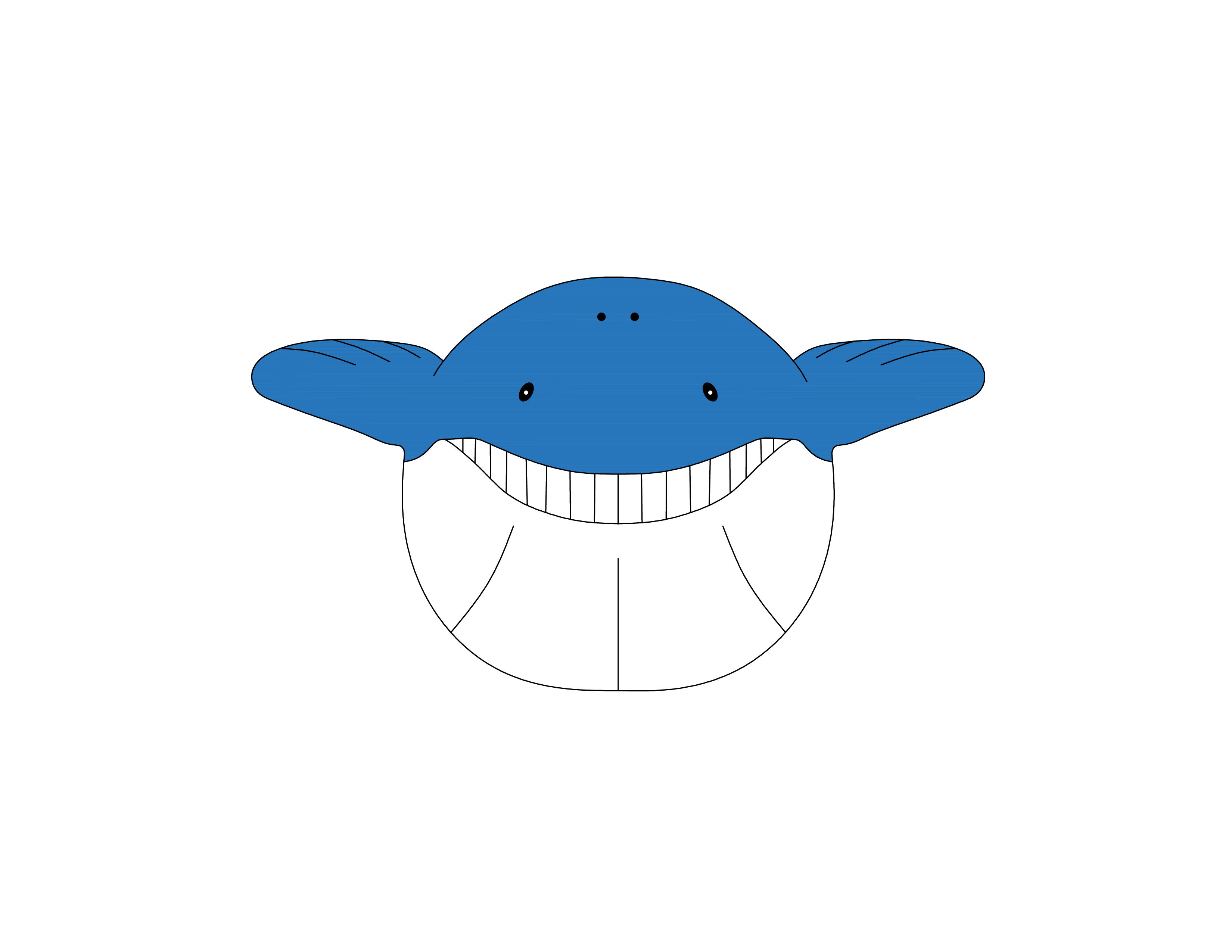 3300x2550 Collection Of Free Dolphin Drawing Color Pencil Download On Ui Ex