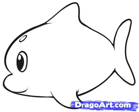 478x385 Draw A Simple Dolphin, Step