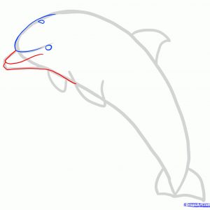 300x300 How To Draw A Dolphin For Kids New How To Draw A Jumping Dolphin
