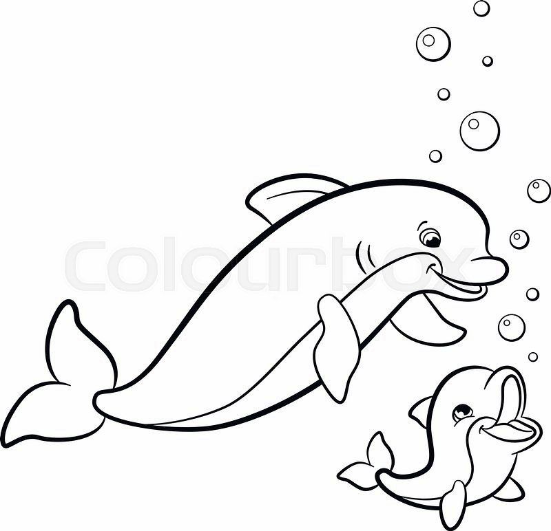 800x772 How To Draw A Dolphin Step
