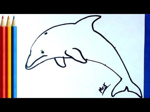 480x360 How To Draw Dolphin