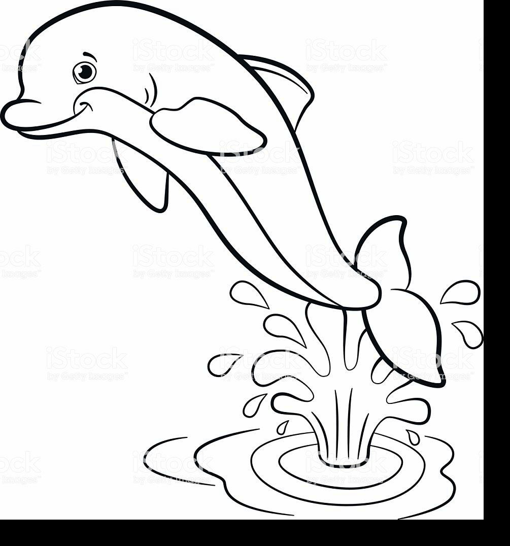 1005x1076 Learn How To Draw A Dolphin With This Simple Easy And Fun And Step