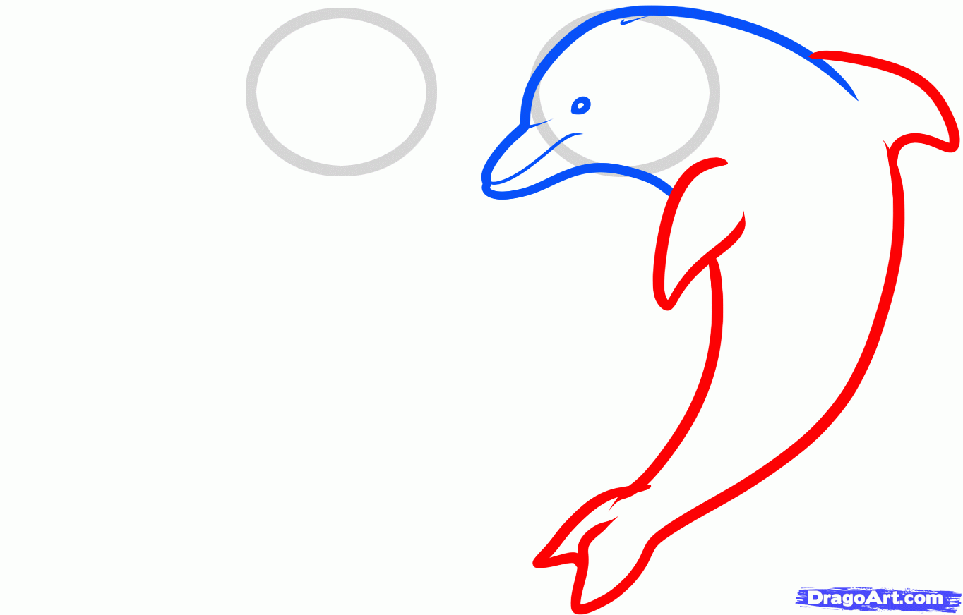 1364x872 How To Draw Love Dolphins, Dolphin Heart Step Craft