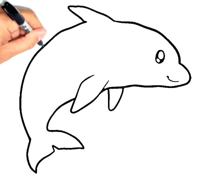678x576 Draw A Dolphin Easy How Draw Dolphin Easy