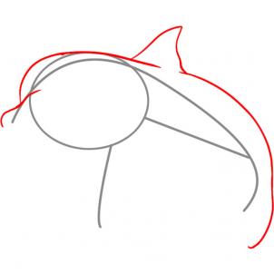 302x302 Draw A Dolphin, Step