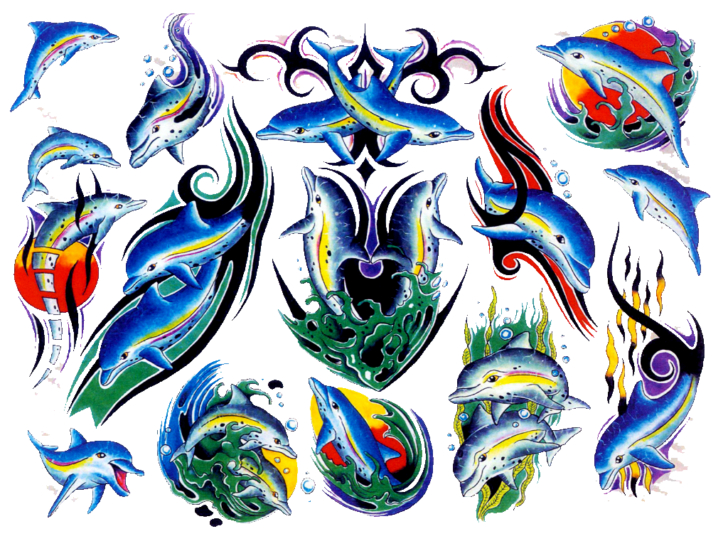 1024x768 Colored Dolphin Tattoo Designs Tattoo Ideas