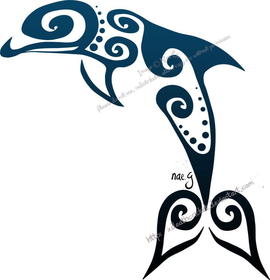 900x932 Dolphin Tattoo Drawings