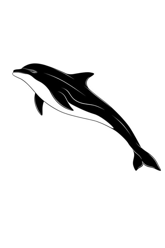 565x850 Download Tattoo Ideas Dolphin
