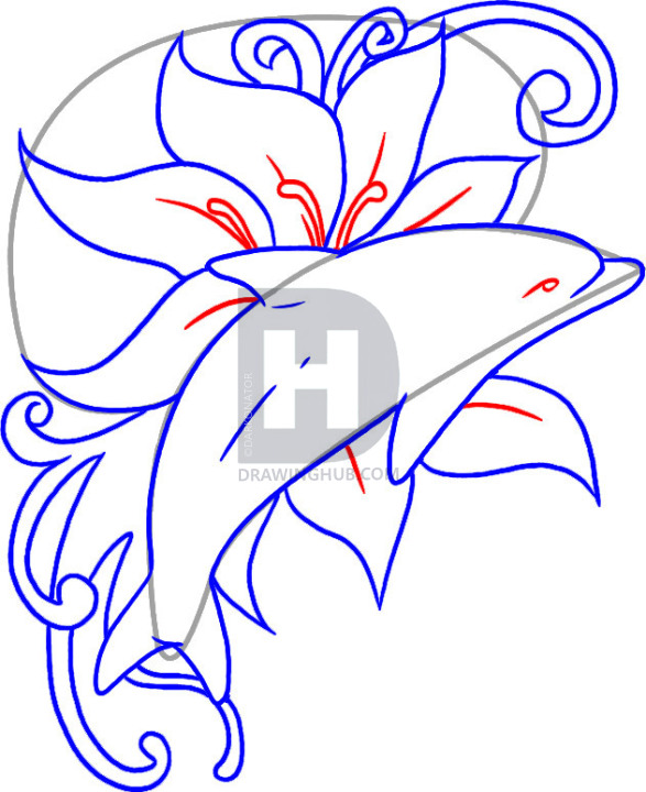 587x720 How To Draw A Dolphin Tattoo, Step