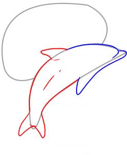 247x302 How To Draw A Dolphin Tattoo, Step