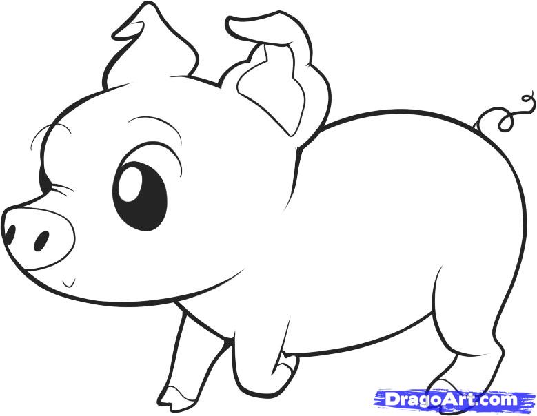 779x604 Draw An Easy Pig, Step