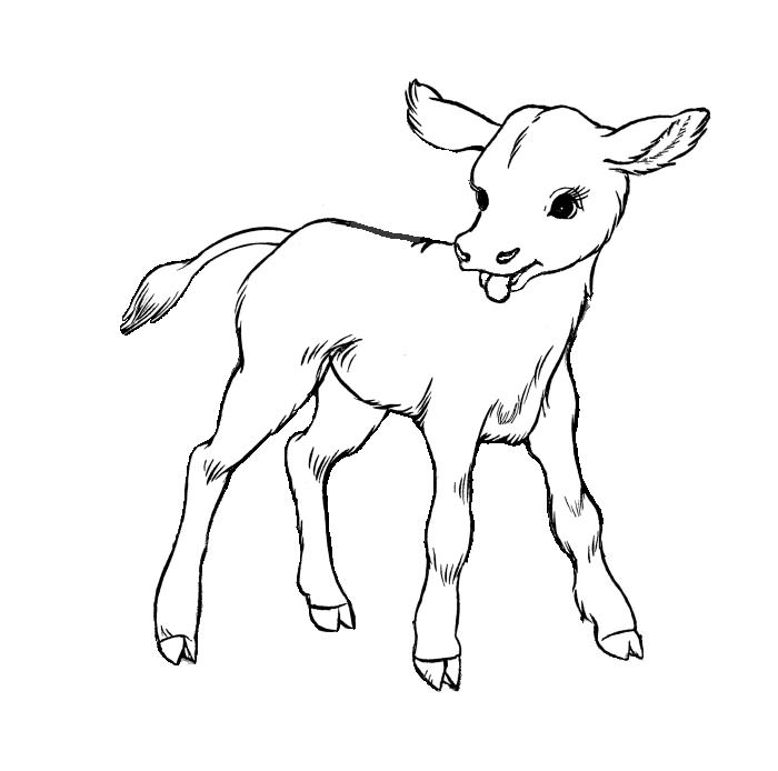 700x694 Animal Colouring Pages Free Download Print! Free Premium