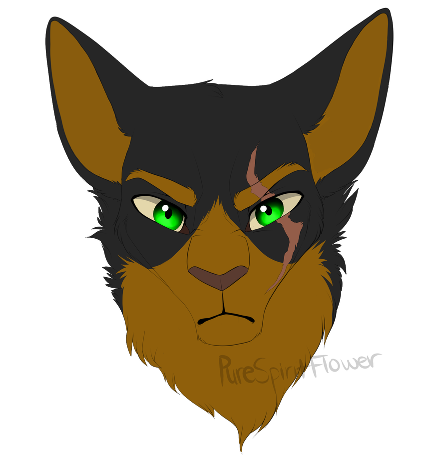 Dominoclaw коты воители. Dominoclaw коты воители. коты воители домино. Dominoclaw коты воители. коты воители домино.