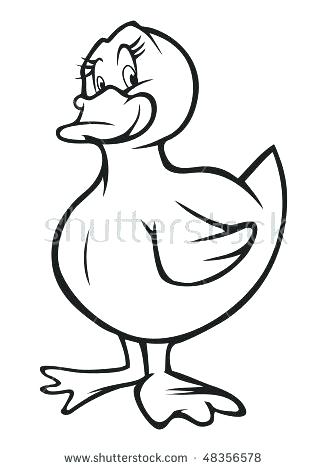 327x470 Duck Outline Drawing Outline Drawing Of A Duck Isolated On White