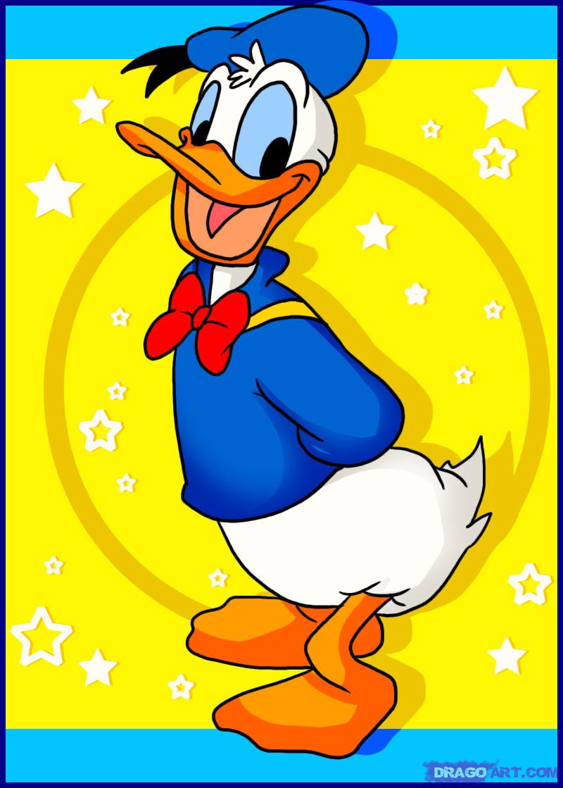 800x1119 How To Draw Donald Duck, Step