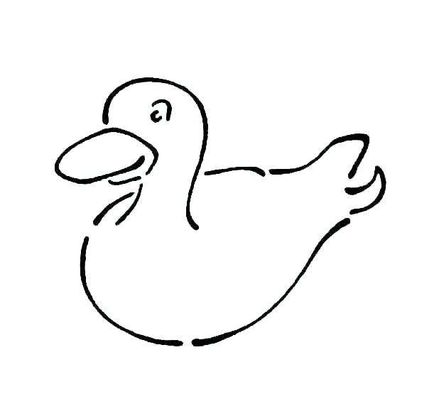 618x579 How To Draw Baby Ducks Zupa
