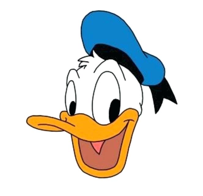 664x640 How To Draw Donald Duck Zupa