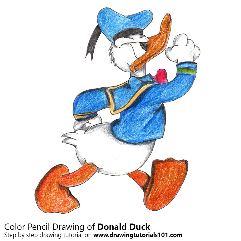 800x800 Donald Duck Colored Pencils