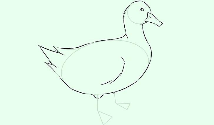 728x425 Simple Duck Drawing Image Titled Draw Ducks Step Daffy Duck Simple