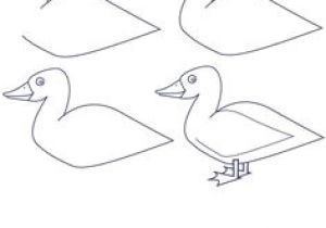 300x210 drawing easy duck draw donald duck donald duck the main man