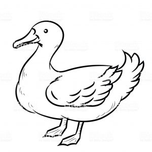 300x300 Reduced Drawing Of A Duck Line Simple Vector Stock Art More