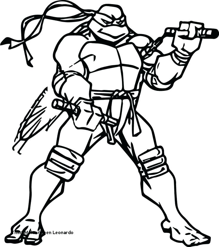 745x840 Tmnt Leonardo Coloring Pages