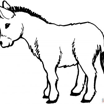336x336 Donkey Drawing Cute Step