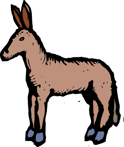 484x570 Donkey Drawing Clipart